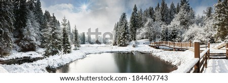 Ukraine, winter forest in the Carpathian Mountains, pine trees covered with snow, the resort area in the district Mezhgorye lake Vita