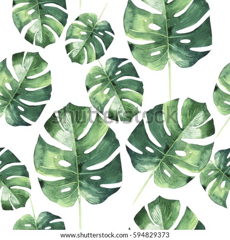 Monstera poster