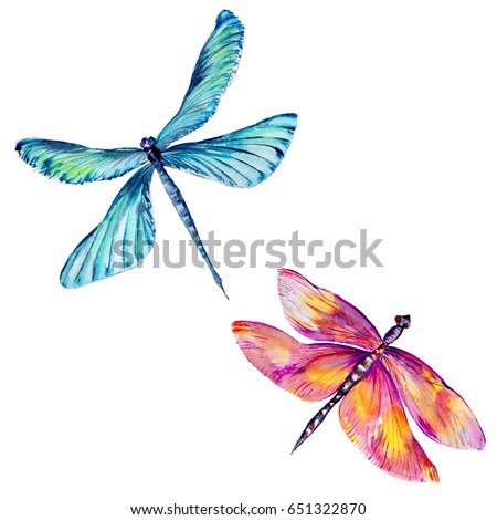 Dragonfly Stock Images, Royalty-Free Images & Vectors | Shutterstock