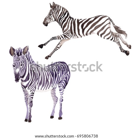 zebra tattoo stock images royalty free images u0026 vectors zebra tattoo stock images royalty free images u0026 vectors
