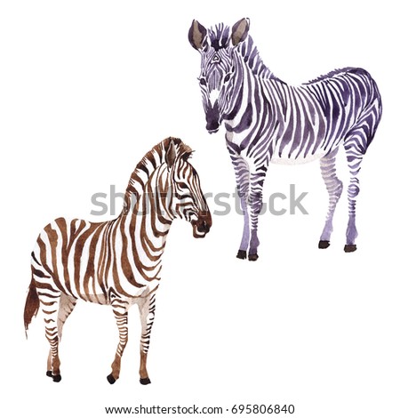zebra tattoo stock images royalty free images u0026 vectors zebra tattoo stock images royalty free images u0026 vectors