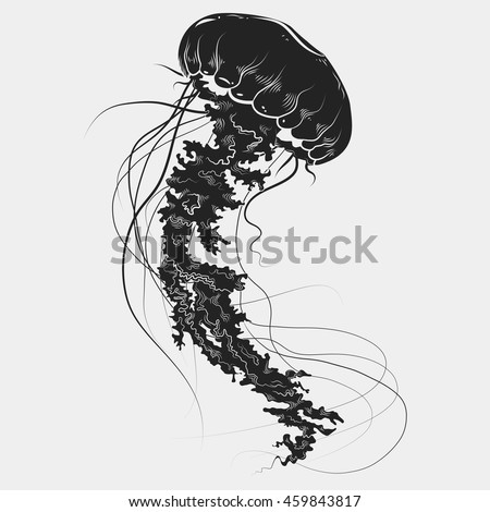 hand drawn graphic jellyfish vector illustration with medusa silhouette tattoo sketch sea collection