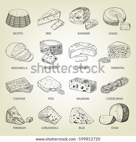 Sketch of different cheeses icons. Vector illustration with realistic outline dairy products set. Curds collection used for logo design, recipe book, advertising cheese or restaurant menu.