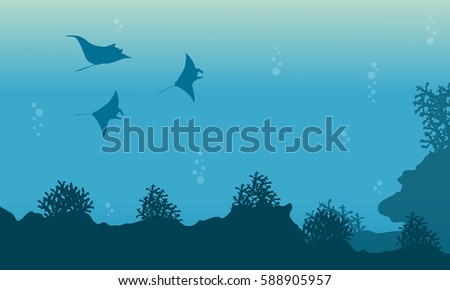 Beauty landscape of underwater with stingray