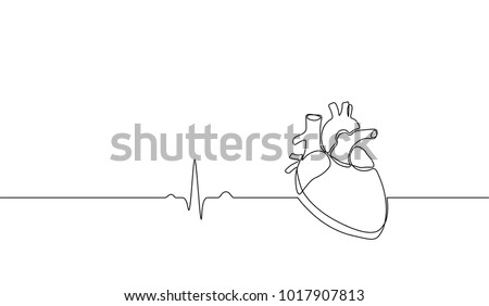 Download Anatomical Heart Stock Images, Royalty-Free Images ...