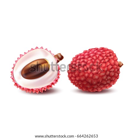 Vector illustration of a realistic style of litchy whole fruit and a cut litchi isolated on white. Print, template, design element for packaging with exotic fruit