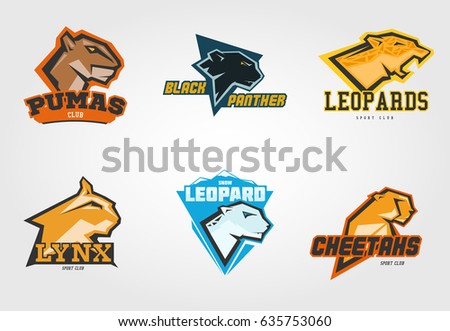 Set mockup template wild cats head symbol, logo, emblem or sticker for branding, printing, sports team. Vector illustration on white background.