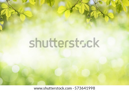 Background Stock Images Royalty Free Vectors Shutterstock Fresh Green Tree