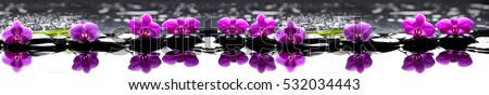 spa orchid