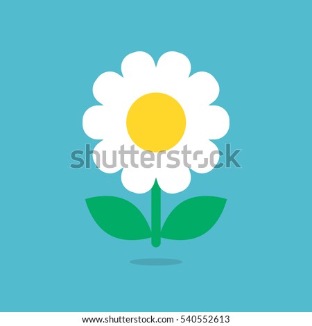 Daisy flower icon vector isolated