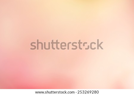 sweet color rose and hydrangeas in soft color and blur style for background