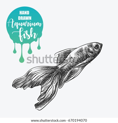Blob-fish Stock Images, Royalty-Free Images & Vectors | Shutterstock