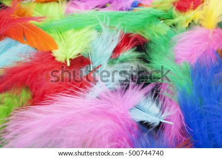 Pile Dyed Feathers Stock Photo 1430190 - Shutterstock