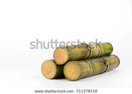 Close up of sugar cane in isolated white background