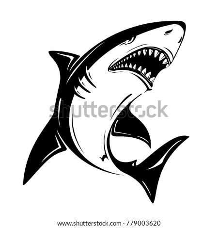 Download Angry Black Shark Vector Illustration Isolated Stock ...