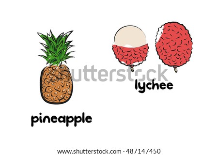 Vector illustration of cartoon pineapple and lychee