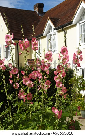 sound hollyhocks Hollyhock is a not for profit and an unparalleled centre of learning, connection and cultural transformation. sound hollyhocks Hollyhock is a not for profit and an unparalleled centre of learning, connection and cultural transformation.