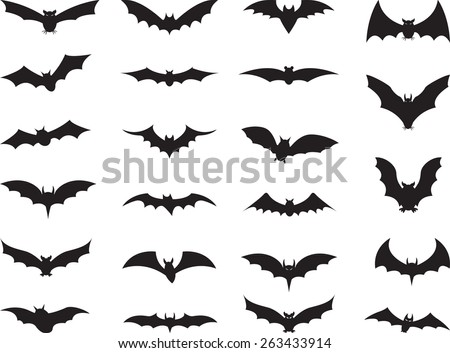 Vampire Bat Stock Images, Royalty-Free Images & Vectors | Shutterstock