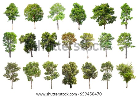 Trees Vector Nature Collection 001 Selection Stock Vector 90104362