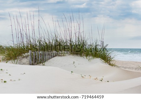 Sand Dunes American Beachgrass Emerald Isle Stock Photo ...