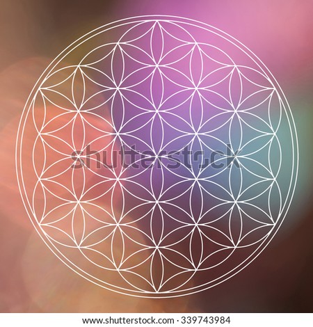 Flower Life Rainbow Sacred Geometry Symbol Stock Illustration 129086810 ...