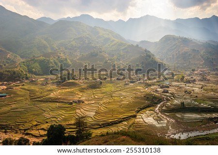 Terraced Rice Fields in Vietnam