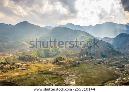 Terraced Rice Fields in Vietnam