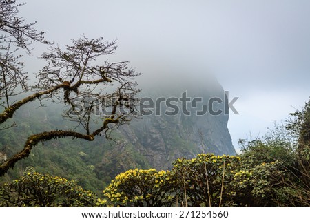 Mountain at Vietnam