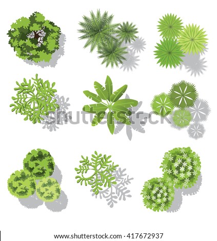set of treetop symbols, for architectural or landscape design, for map, vector