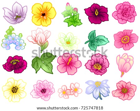 Set Vector Flowers Leaves Stock Vector 216196090 - Shutterstock