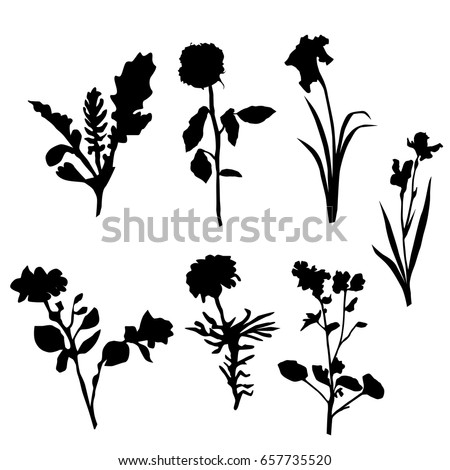 Flowers Silhouette Stock Images, Royalty-Free Images & Vectors ...