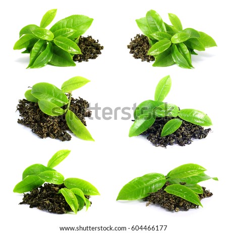 Green tea leaf isolated on white background