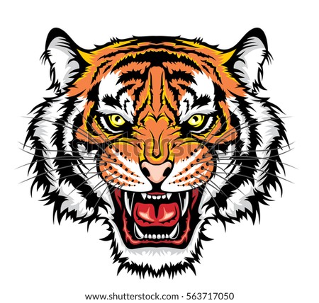 Tiger head