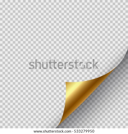 vector decoration wedding Images Vectors Images, Gold Stock Royalty Free Border &