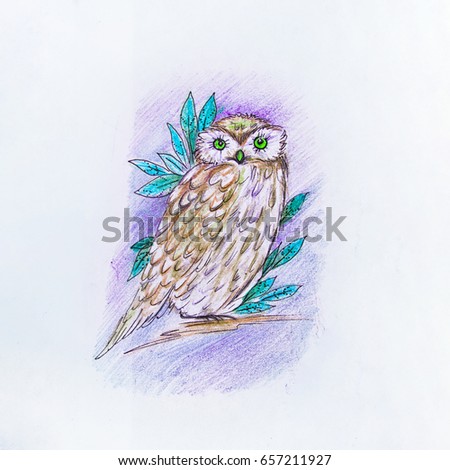 owl tattoo stock images royalty free images u0026 vectors shutterstock owl tattoo stock images royalty free images u0026 vectors shutterstock