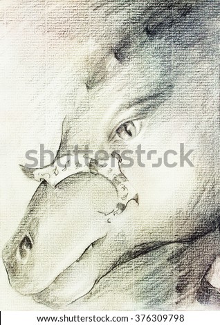 Mystic Woman Face Pencil Drawing On Stock Illustration