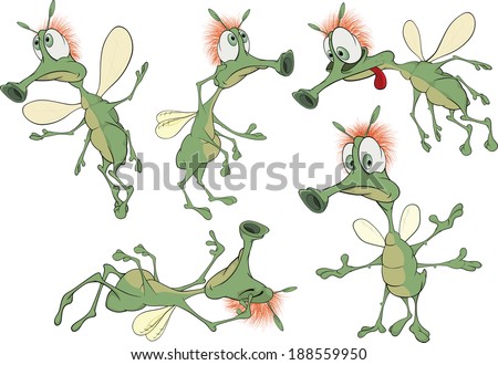 Mosquito Cartoon Stock Images, Royalty-Free Images & Vectors | Shutterstock