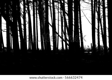 Forest Silhouette Stock Photos, Royalty-Free Images & Vectors