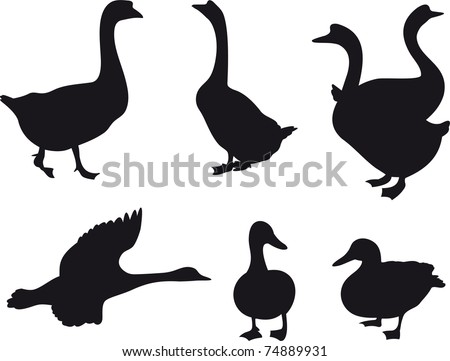 Flying Goose Silhouette Stock Photos, Images, & Pictures | Shutterstock