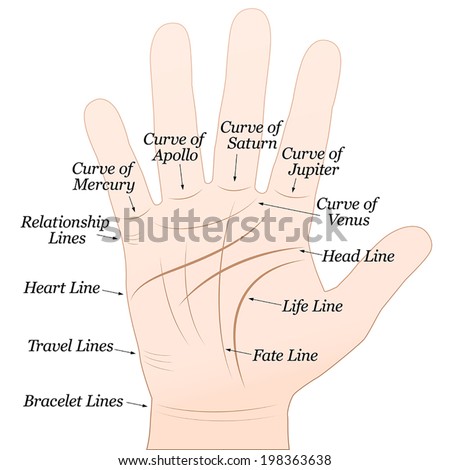 Palmistry Right Hand Lines Their Names Stock Vector 198363641 ...