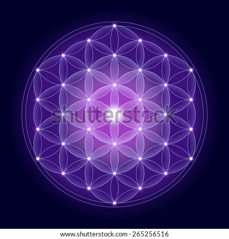 Cosmic Flower Life Stars On Dark Stock Illustration 265256516 ...