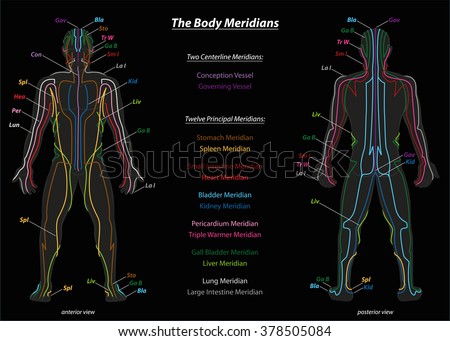 Meridian System Description Chart Meridian system chart of TCM (Traditional Chinese Medicine). Isolated vector illustration on black background.