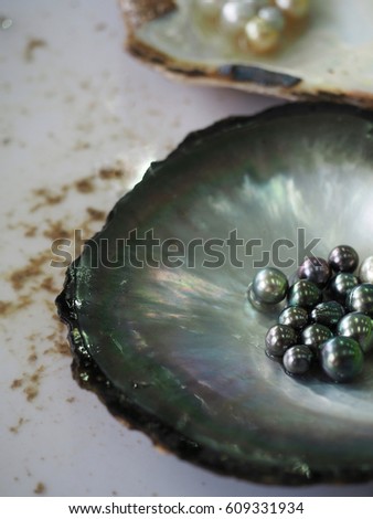 Black and golden pearls in oyster shells.