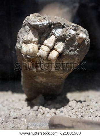 Mt Vesuvius Stock Images Royalty Free Images Vectors 