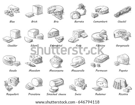 Graphic sketch of different cheeses. Vector set of realistic outline dairy products. Isolated curds collection used for logo design, recipe book, advertising cheese or restaurant menu.
