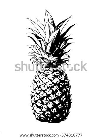 Vector hand drawn pineapple. Tropical summer fruit engraved style illustration. Perfect for invitations, greeting cards, posters.