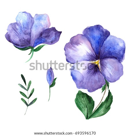 Violet Stock Images, Royalty-Free Images & Vectors | Shutterstock