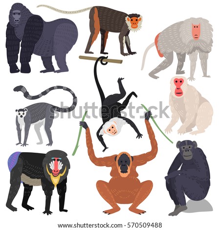 Gibbon Stock Vectors, Images & Vector Art | Shutterstock