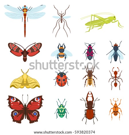 Dragonfly Brown Bug Forest Ant Small Stock Vector 620843933 - Shutterstock