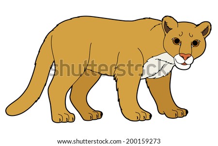 Cartoon Animal Puma Flat Coloring Style Stock Illustration 200159273